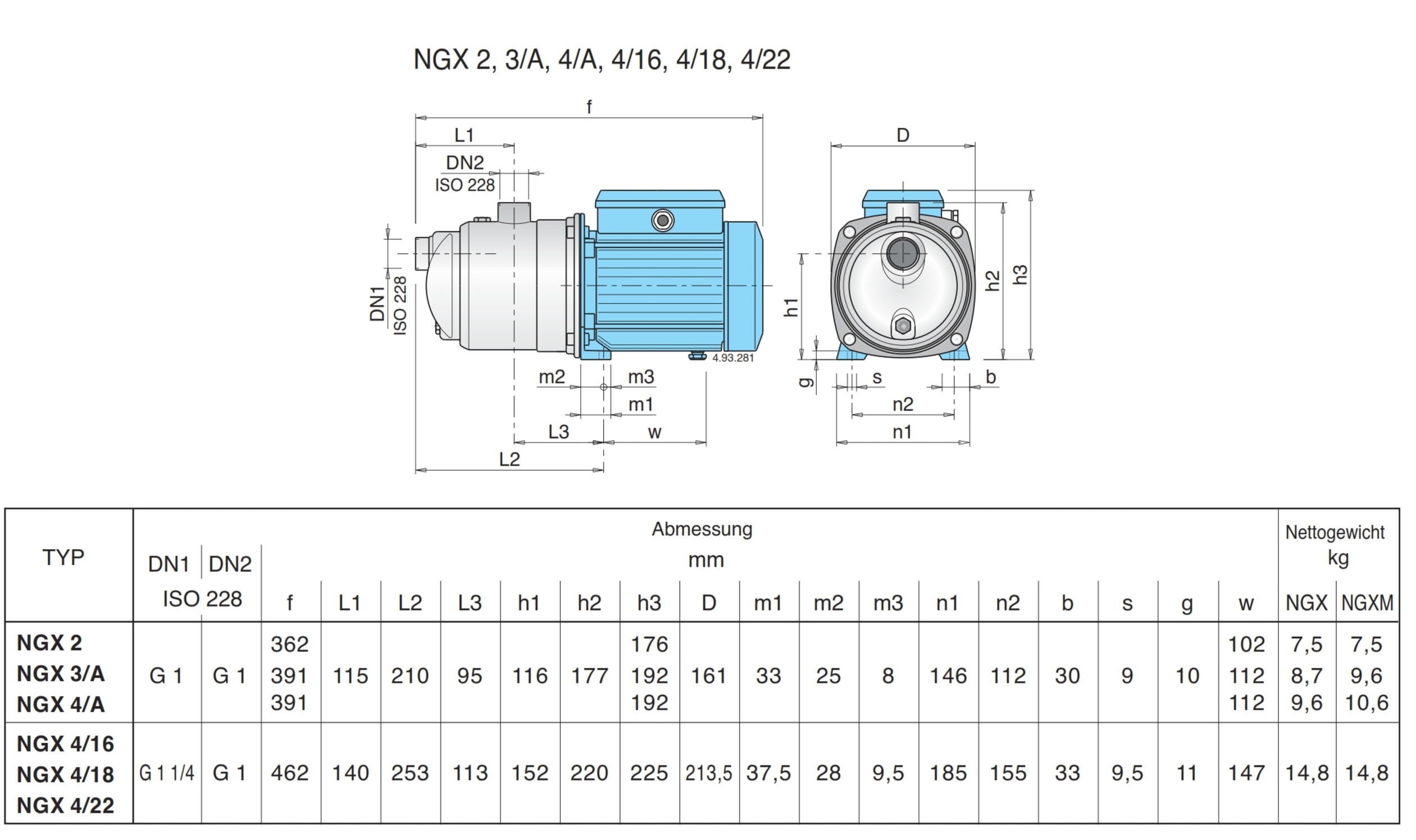 Calpeda Kreiselpumpe NGXM3 mit Schalter
